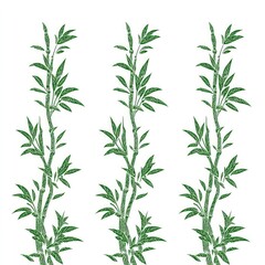 Obraz premium Three stylized green bamboo stalks with delicate leaves against white