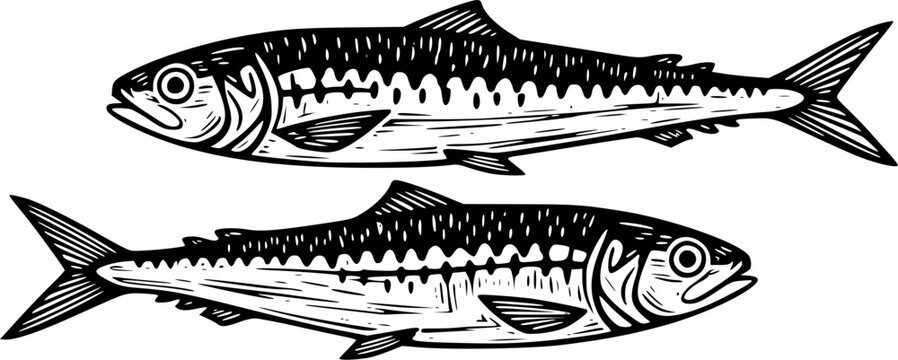 Pair of mackerel fish in vintage linocut engraving style, isolated vector illustration.