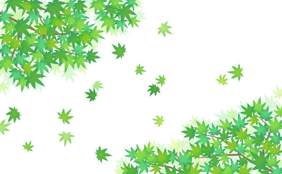 舞い散る緑のもみじフレーム4_横