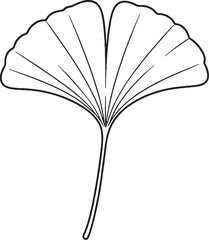Ginkgo leaf line art black and white botanical illustration eps svg