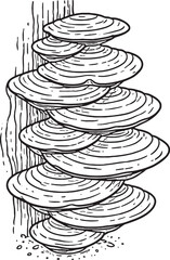 Cup mushroom line art black and white bowl shaped fungus illustration eps svg