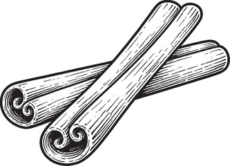 Clove buds line art botanical illustration black and white