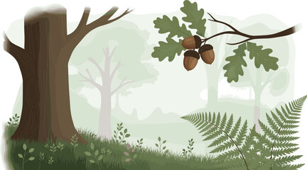 Beautiful green forest landscape illustration featuring large tree trunks a hanging oak branch with brown acorns and lush green ferns. © Fuad Creatives 