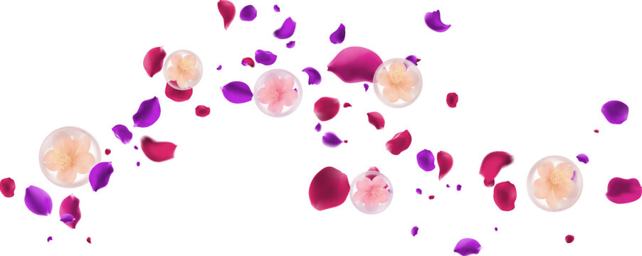 Flying pink and purple flower petals with delicate blossoms in clear bubbles romantic aesthetic for perfume and fabric softener advertisement cosmetic product promotion Valentines Day 