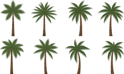 Palm tree illustration set featuring tropical coconut palms with detailed leaves and trunks for summer travel nature design projects © MdAbuSayed