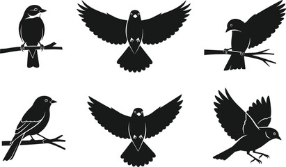 Naklejka premium Black Bird Silhouette Vector Set Featuring Sparrow and Robin Icons in Flying and Perching Poses Isolated on White Background for Graphic Design Elements
