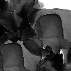 Luxury Black and Gold Alcohol Ink Abstract Background with Golden Veins
