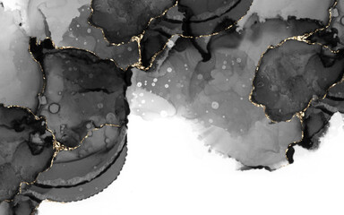 Luxury Black and Gold Alcohol Ink Abstract Background with Golden Veins