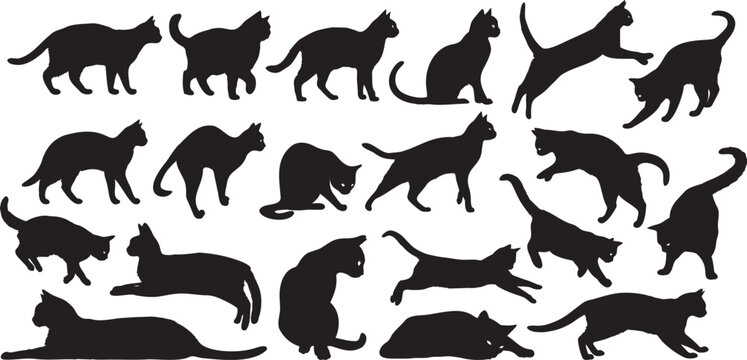 Vector illustration set of cat silhouettes designed as clean solid black shapes suitable for illustration use.