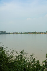 Wide tranquil river scene with lush green foreground foliage and a distant treeline under a soft blue sky, evoking a peaceful natural landscape.