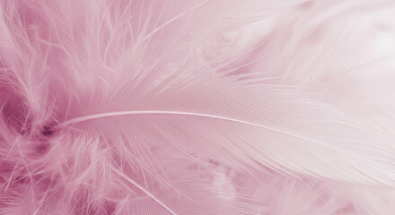 Obraz premium Close-up of soft pastel pink feathers, showcasing delicate barbs and a gentle gradient from deep pink to pale white, creating a dreamy, ethereal texture.