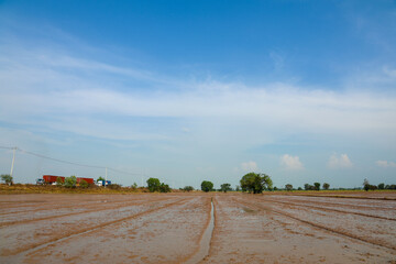 Expansive muddy agricultural field with tilled brown soil, ready for planting under a brilliant clear blue sky in a serene rural landscape.