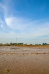 Vast muddy agricultural field with wet soil under clear blue sky, distant road, moving vehicles, power lines, rural scenery.