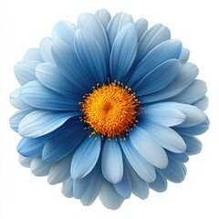 A single, detailed sky-blue flower with a vibrant orange center