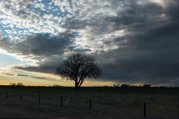 Silhouetted Lone Tree Beneath a Dramatic Stormy Sunset Sky