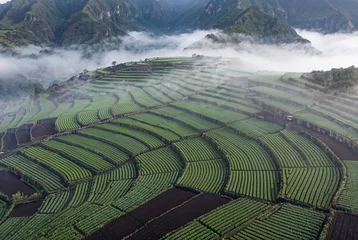 Acrylglasbilder Reisfelder Aerial view of terraced rice fields with fog and mountains.  © Arisha Elzahra