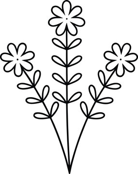 bitter herbs maror line art vector illustration on transparent background