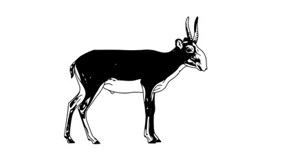 Obraz premium Minimal saiga antelope standing isolated wildlife illustration
