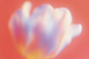 抽象的, ぼかし, フラワーアート, 花, 柔らかい色, パステルカラー, アート写真, 背景用, 穏やか, やさしい雰囲気, ドリーミー, ピンク, オレンジ, ライトブルー, 霞んだ, 美しい背景, ふんわり, 柔らかい, 植物, 自然, 風景, 静けさ, 癒し, ソフトフォーカス, スローフォト, 花びら, 春, 芸術的, エレガント, グラデーション, ロマンチック, クリーン, ミニマル