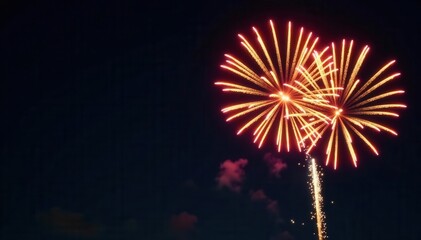 Golden firework bursts against a black night sky, vibrant trails , pyrotechnics, visual, celebratory