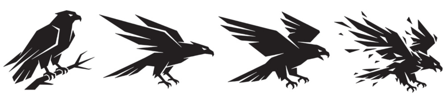 Sequence of a falcon in flight, from perched to dissolving into particles.