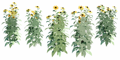 A collection of tall sunflowers with green stems and yellow blooms © Barsha