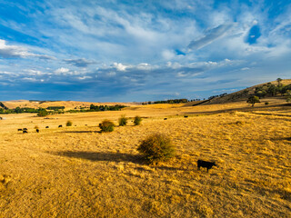 Cloud‑Laced Skies at Golden Hour Over Farmland