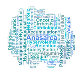 Obraz premium Anasarca Word Cloud. Key Terms in Severe Generalized Edema and Systemic Fluid Retention