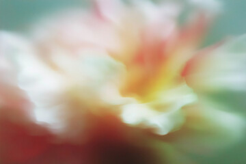 花, 背景素材, 抽象, ニュアンス, シック, テクスチャ, 植物, ボタニカル, 背景, 幻想的, エレガント, コピースペース, アンティーク, 綺麗, 柔らかい, 光, シャドウ, 質感, くすみカラー, モダン, デザイン素材, ラグジュアリー, 芸術的, 壁紙, インテリア, ブランディング, 広告素材, ミニマリズム, 洗練, 繊細, 儚い, 癒し, ウェディング, ライフスタイル,