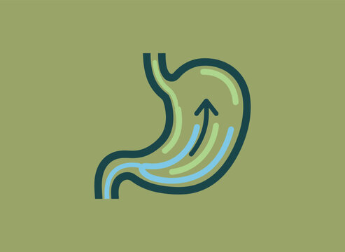 Stomach Illustration Depicting Digestive Process with Arrow Showing Movement.
