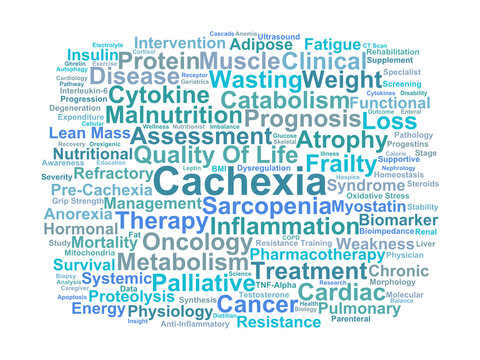 Cachexia Word Cloud. Key Concepts in Metabolic Wasting and Muscle Atrophy Pathology