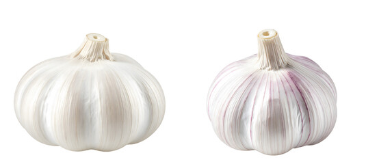 garlic isolated on white background, PNG file transparant background