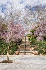 Parque de la Montana