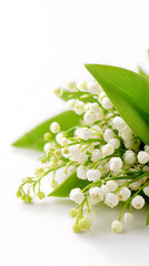 lily of the valley