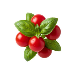 Floating Tomato and Basil Mix, isolated on a transparent background