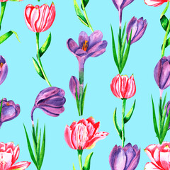 Fototapeta premium Seamless pattern with pink tulips and crocuses on blue background, watercolor floral pattern suitable for wallpaper, cards or fabric.