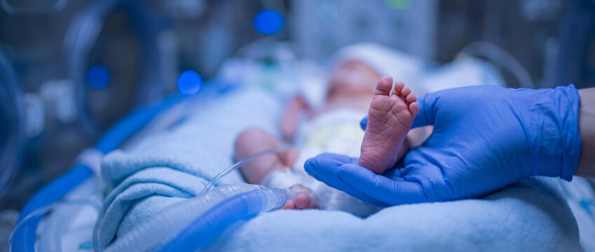 Blue gloved nurse hand holding premature newborn baby foot in intensive care unit