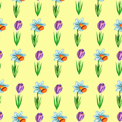 Fototapeta premium Seamless pattern with white daffodils and crocuses on yellow background, watercolor floral pattern suitable for wallpaper, cards or fabric.