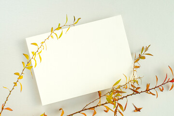 작은 잎 식물과 카드 목업