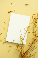 작은 잎 식물과 카드 목업