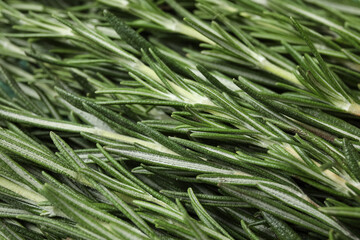 Fresh rosemary as background, closeup © Pixel-Shot