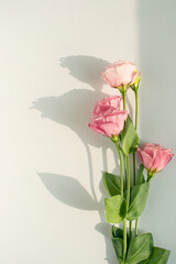 꽃장식과 그림자와 카피공간