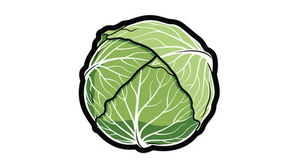 Obraz premium Fresh whole green cabbage with detailed leaf textures and thick black outlines, suitable for grocery, nutrition, and healthy eating designs.