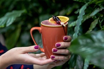 Refreshing Drink in a Ceramic Mug Amidst Lush Green Foliage