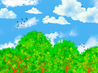Fototapeta premium summer landscape with trees and clouds