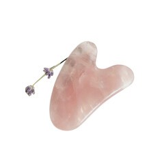 human heart isolated on white background