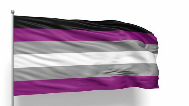 Waving Ace Flag on Pole, Pride Symbol, LGBTQ+ Community, White Background