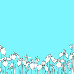 花菖蒲の連続線画ボーダー背景　ミニマルフラワーデザイン　スクエア正方形