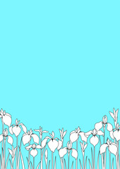 シンプルな花菖蒲の線画フレーム背景　余白あり　A4縦