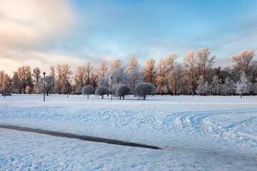 Naklejka premium A winter scene shows a Park covered in snow. Trees line the horizon and sky is pale blue. Tire tracks mark the fresh snow. Copy ad text space